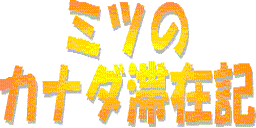 ~c̃Ji_؍݋L